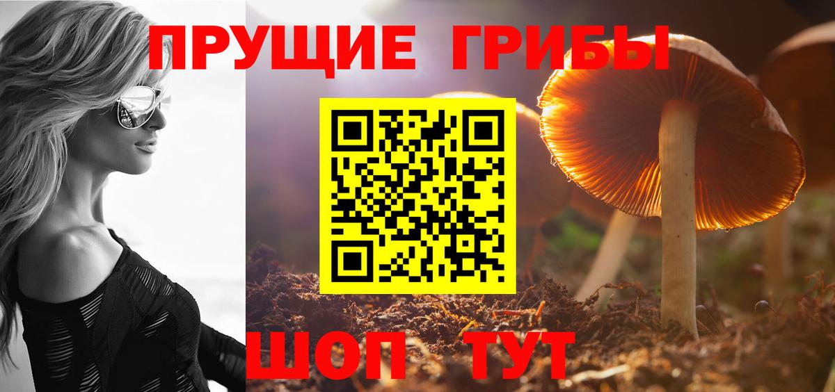 Учалы  Галлюциногенные грибы MAGIC MUSHROOMS  Вход с VPN 